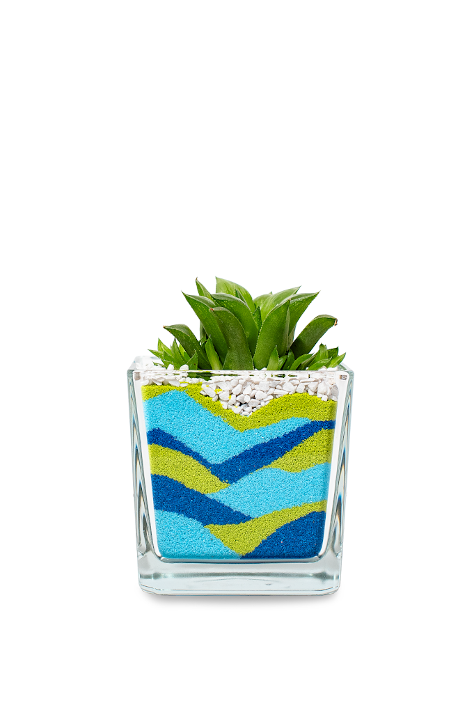 Vasetto in vetro cm. 8x8 con sabbia colorata e piantina RP 60
